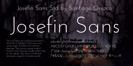 Josefin Sans typeface specimen used for quotes in the Qtoniq app