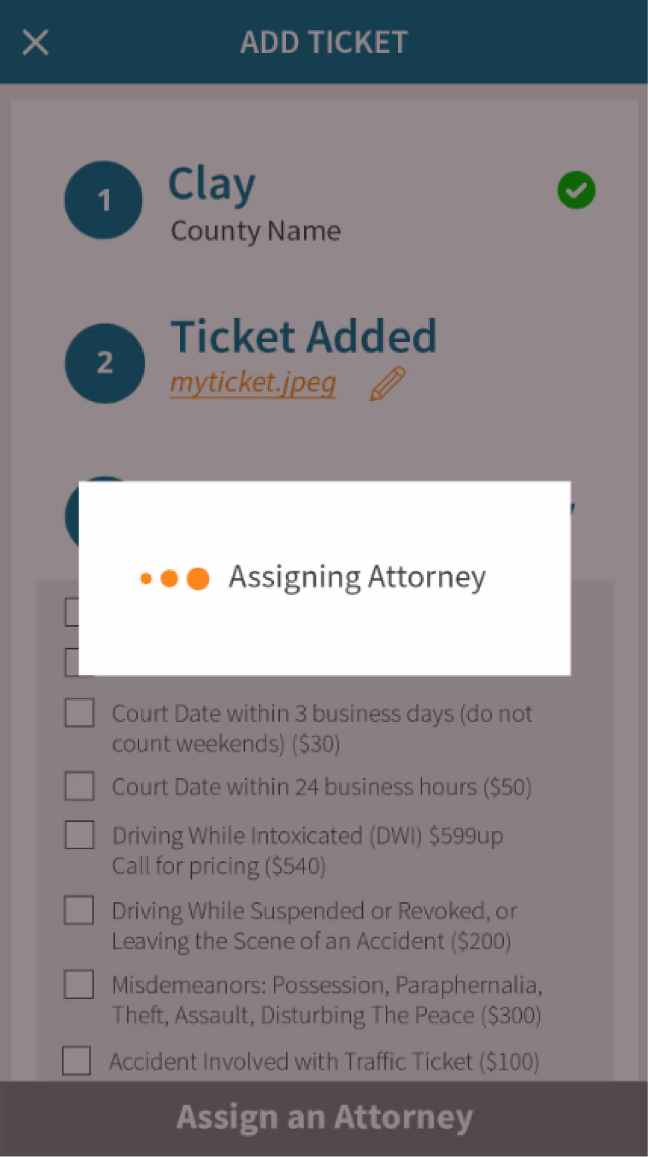 Resqyou mobile app screen 12 of 30 from the Missouri traffic-ticket amendment flow