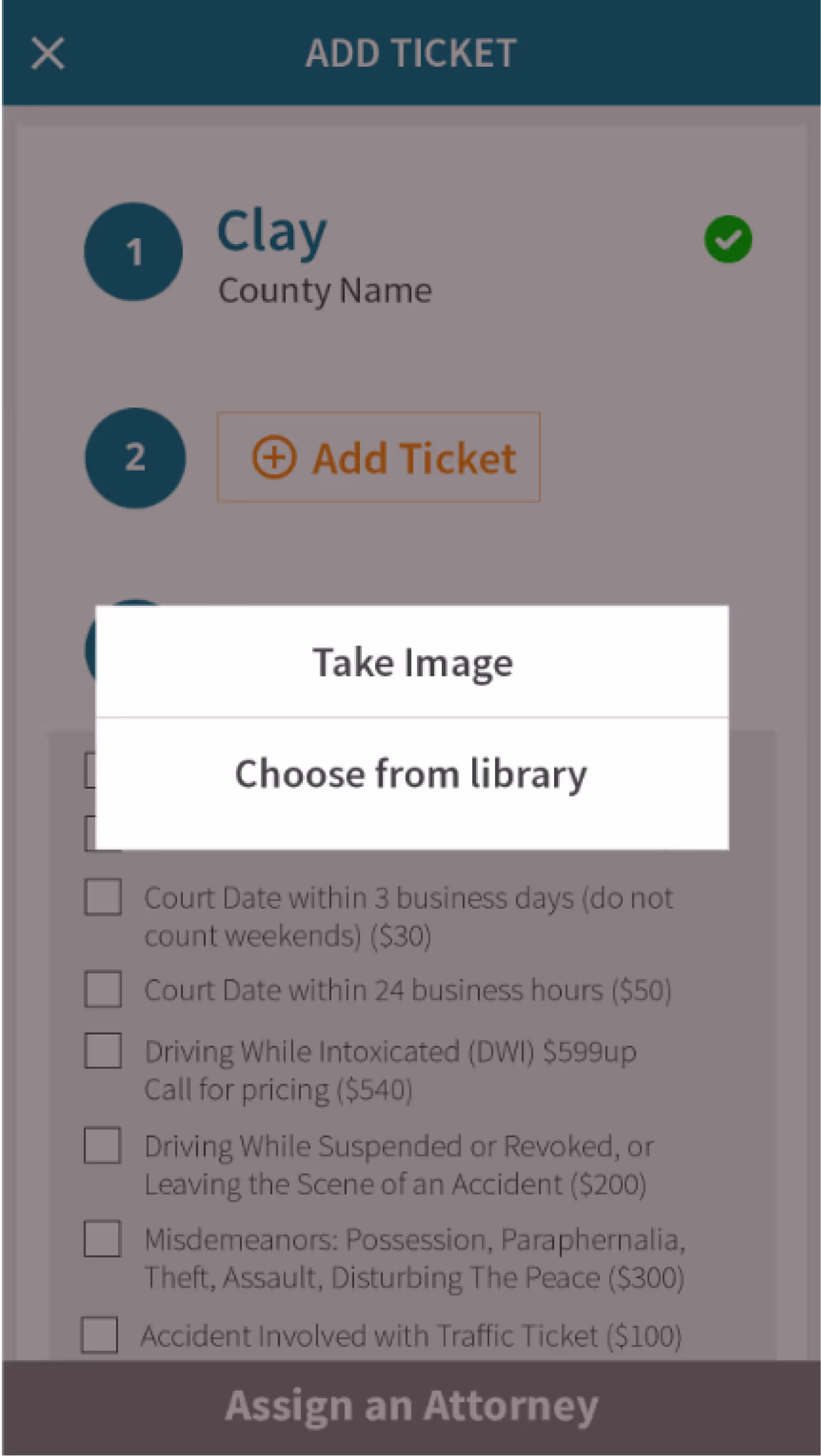 Resqyou mobile app screen 9 of 30 from the Missouri traffic-ticket amendment flow